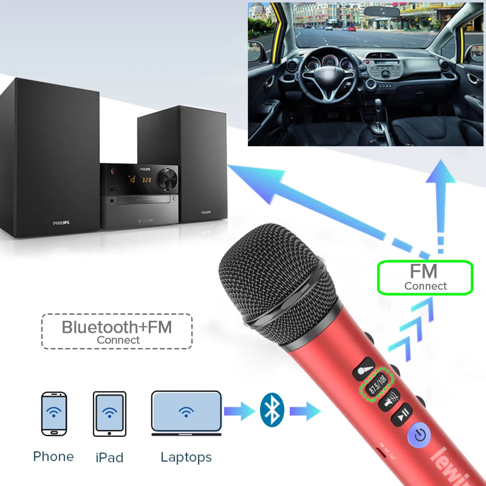LEWINNER L-698 Wireless Karaoke Microphone