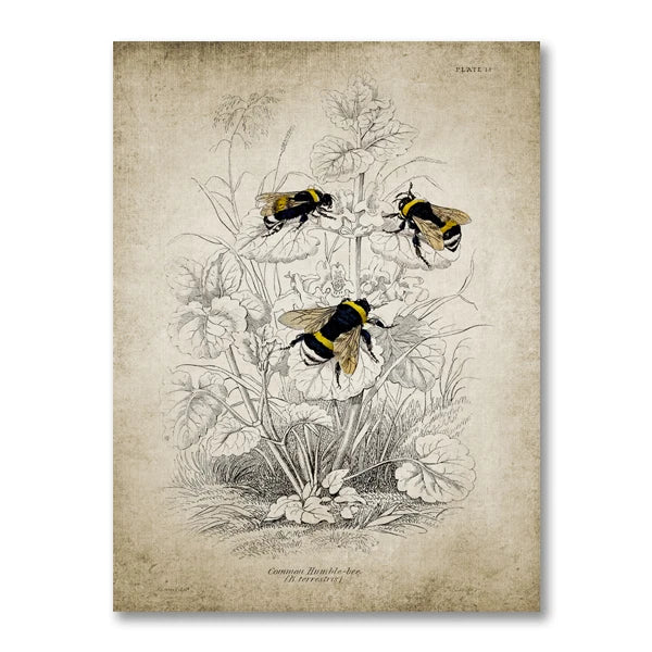 Bumble Bee Wall Art